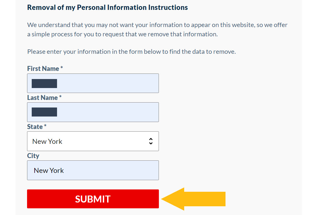 Historical record search form interface example for InfoTracer. Example identifying details are obscured where needed.