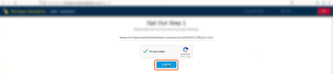 Historical record URL entry and opt-out control interface example for Michigan Resident Database. Example identifying details are obscured where needed.