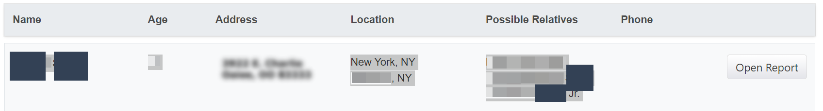 Historical matching-record row interface example for Persopo. Example identifying details are obscured where needed.