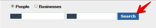 Historical record search fields interface example for Searchbug. Example identifying details are obscured where needed.