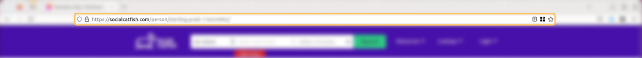 Historical Copy the URL of your Social Catfish profile from the browser address bar interface example for Social Catfish. Example identifying details are obscured where needed.