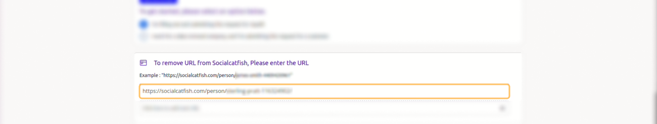 Historical Paste the URL you just copied in the first field interface example for Social Catfish. Example identifying details are obscured where needed.