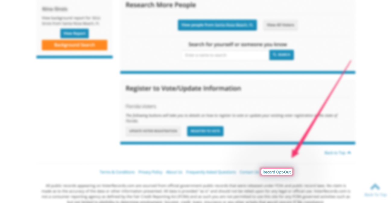 Historical detail-suppression control interface example for VoterRecords. Example identifying details are obscured where needed.
